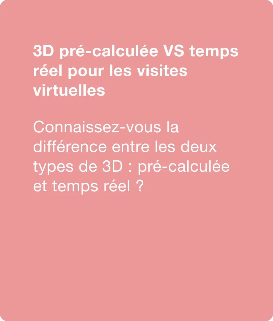 3D pré-calculée et temps réel